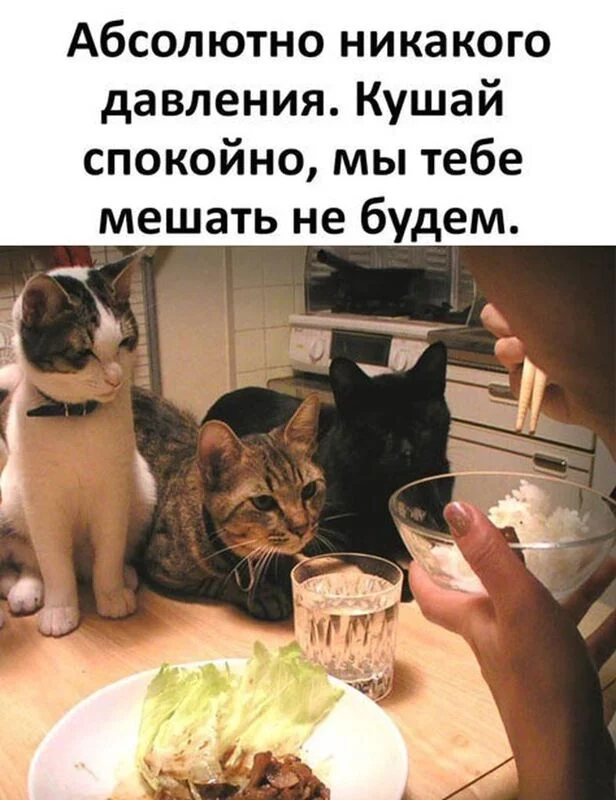 Посмеялся сам - поделись с другом!!!