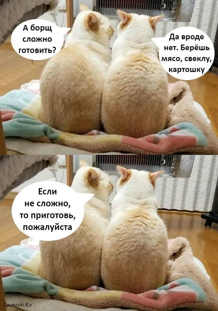 Посмеялся сам - поделись с другом!!!