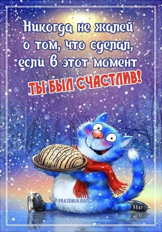 Позитивчик (фото, видео, рассказы для хорошего настроения)