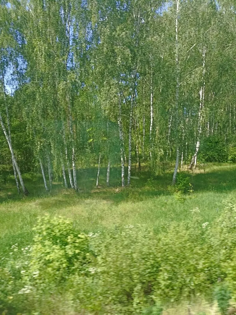 Фотонастроение