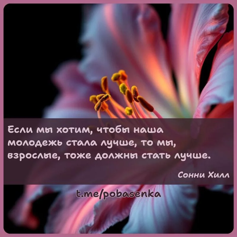 «Если мы хотим, чтобы наша молодежь стала лучше, то мы, взрослые, тоже должны стать...» height="550" width="550"