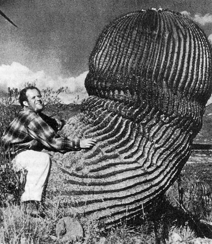 Запечатленная история