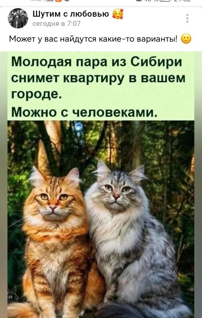 Посмеялся сам - поделись с другом!!!