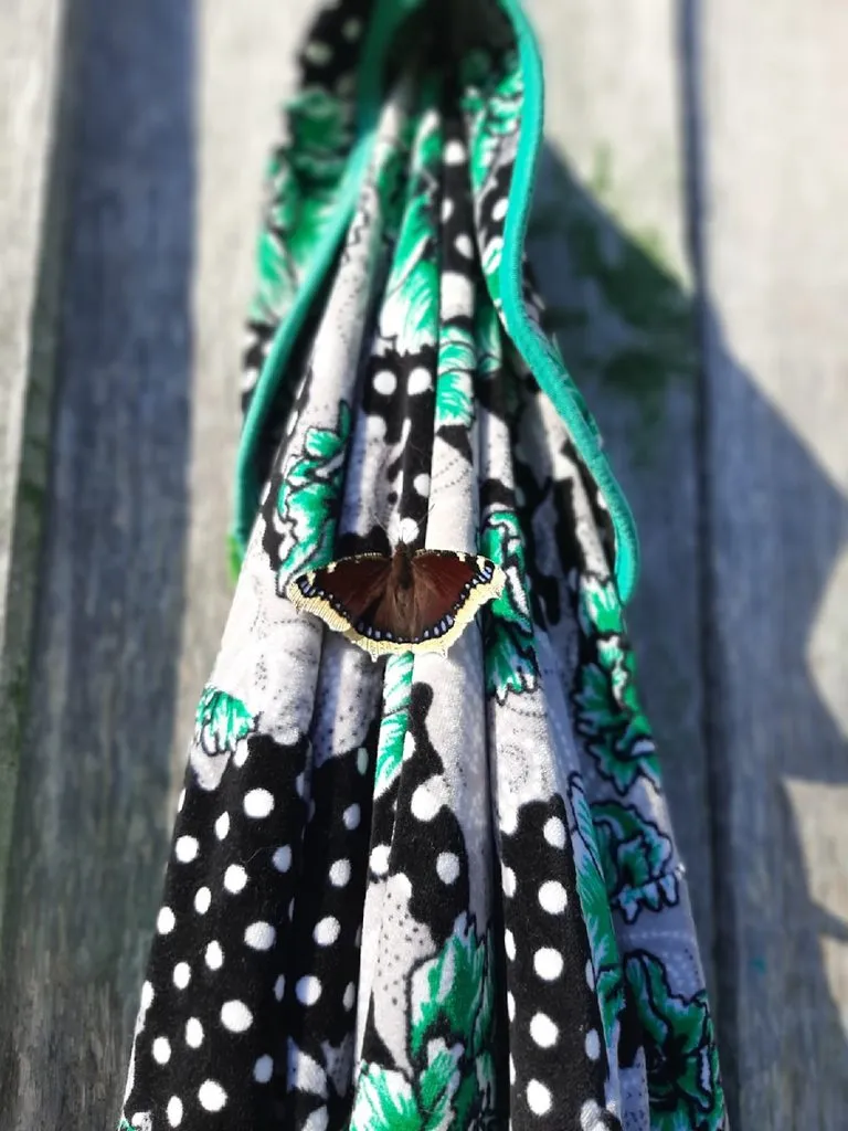 Кафе «У пани Сони»