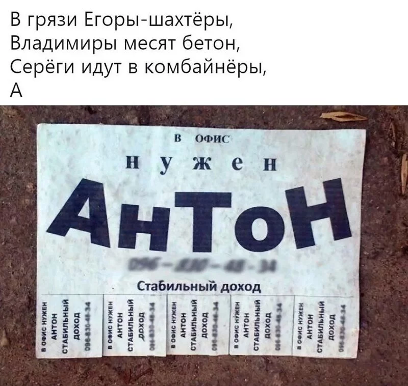 Всюду рифмы