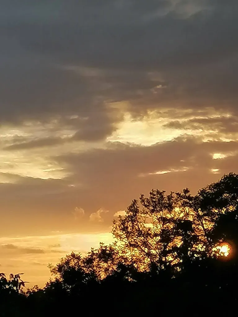 Чайная беседка