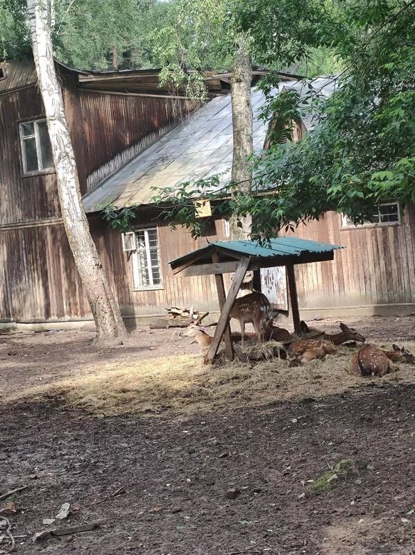 Чайная беседка