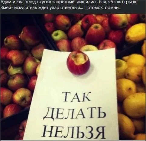 Всюду рифмы