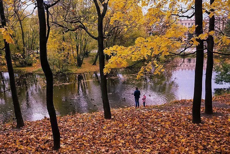 Чайная беседка