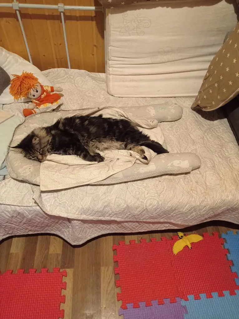 Чайная беседка