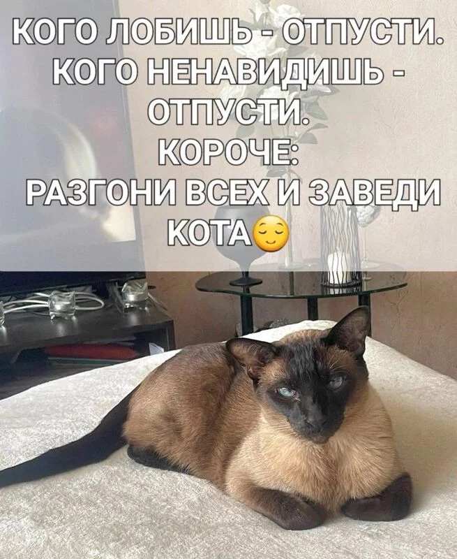 Посмеялся сам - поделись с другом!!!