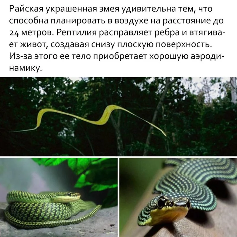 Это интересно!