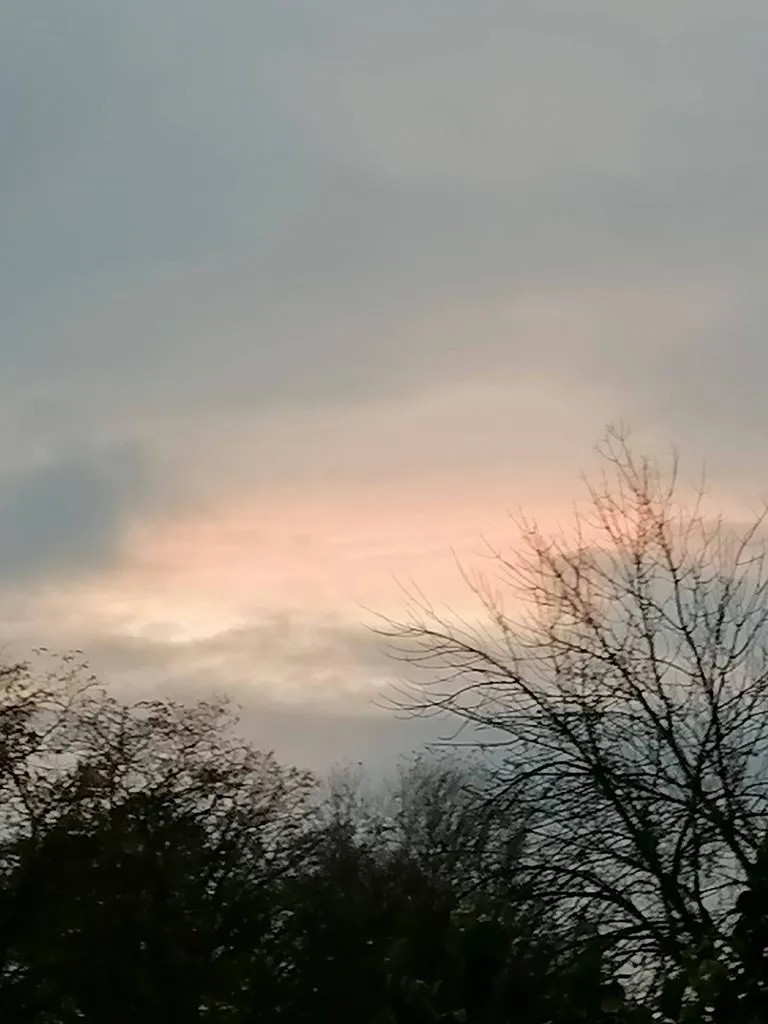 Такое разное небо