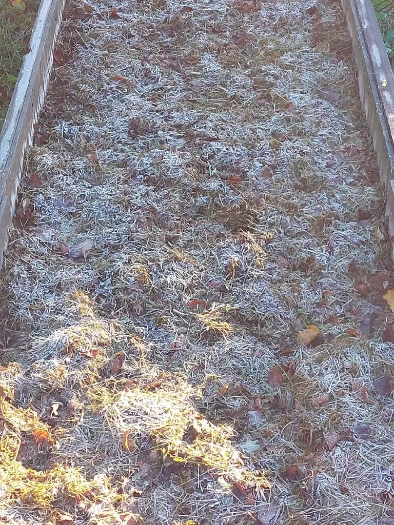 Кафе «У пани Сони»
