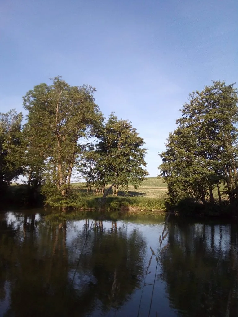 Чайная беседка