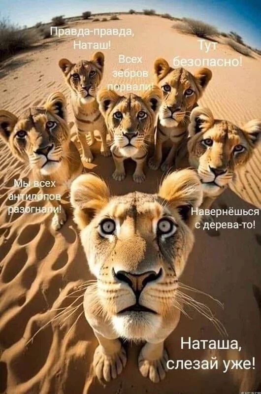 Посмеялся сам - поделись с другом!!!