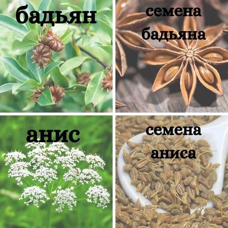 Tapтaлeтки & Ко