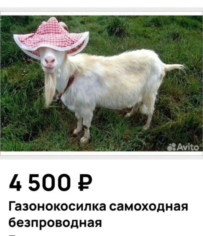 Загородная жизнь - обустройство на своей земле во всем ее разнообразии