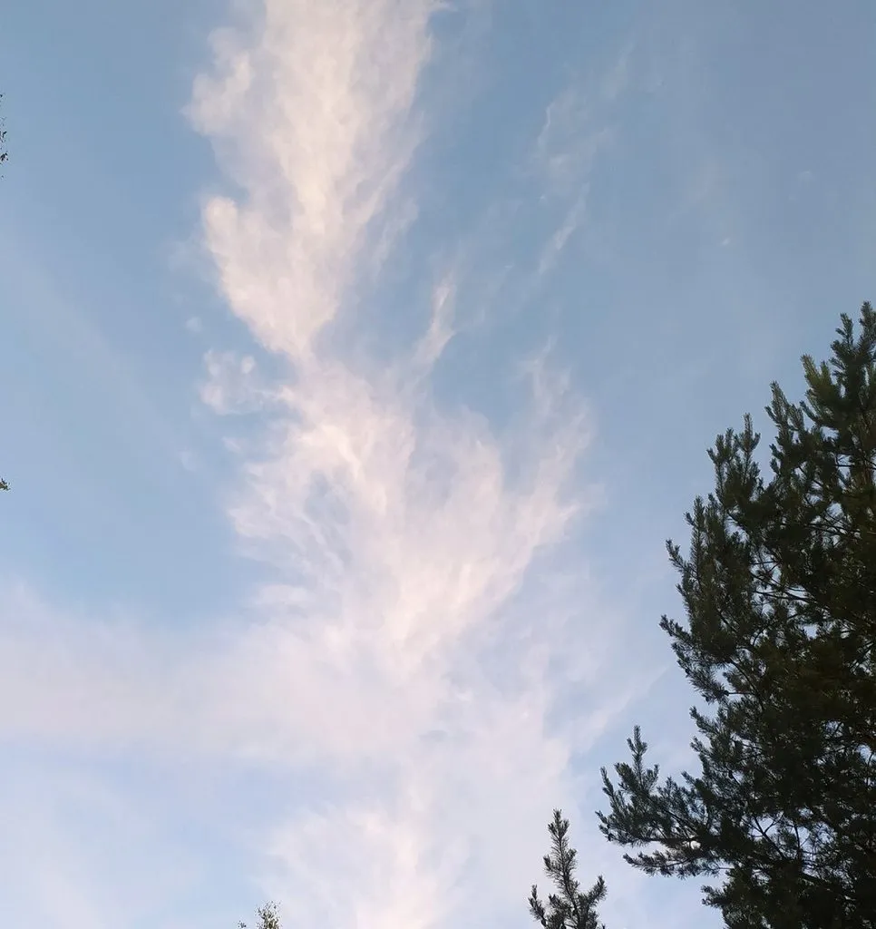 Такое разное небо