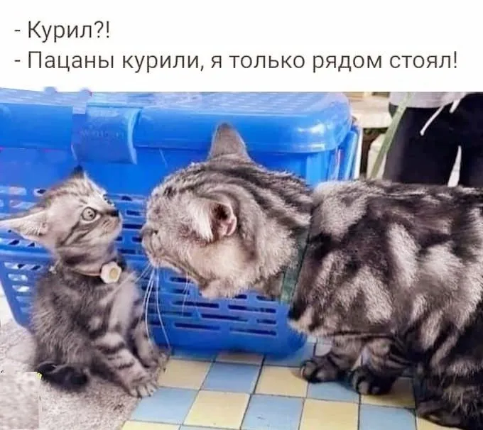 Посмеялся сам - поделись с другом!!!