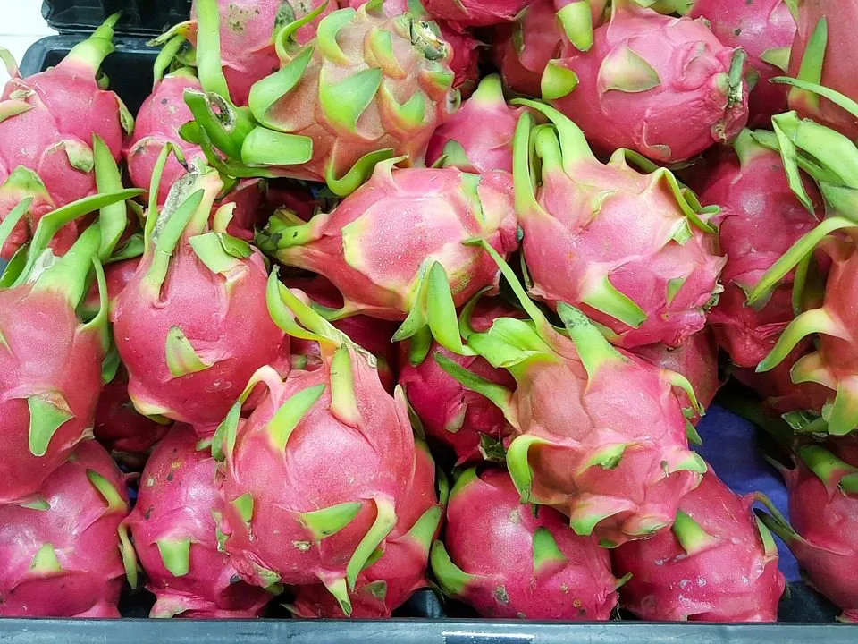 12 вкуснейших тропических фруктов