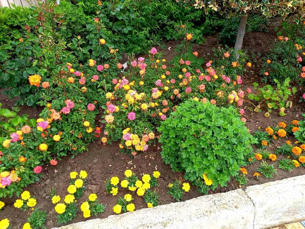 Чайная беседка