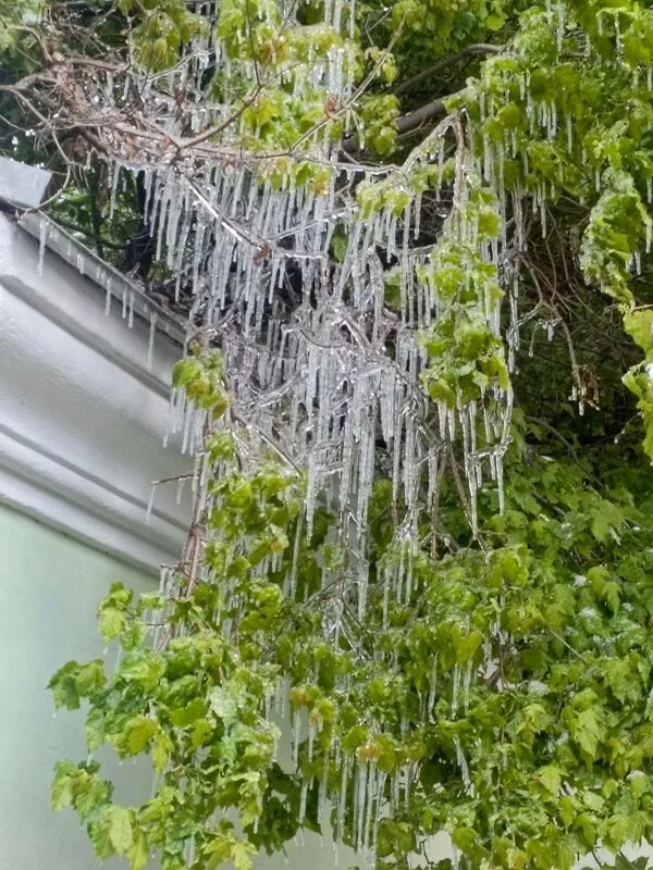 Что в Москве слышно? 
