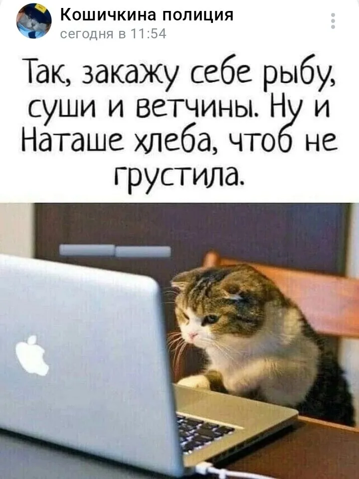 Кошичкина полиция