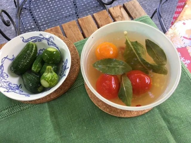 Чайная беседка