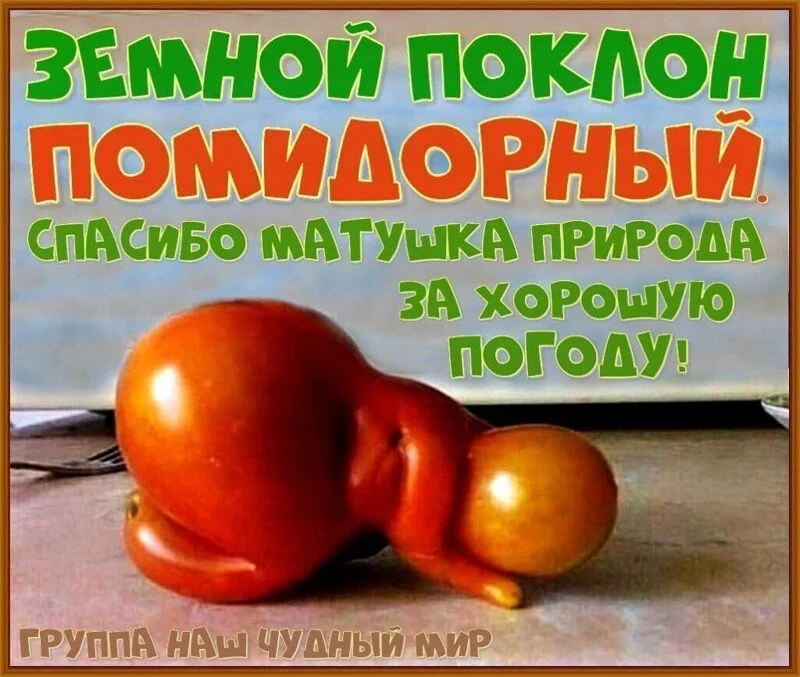 Посмеялся сам - поделись с другом!!!