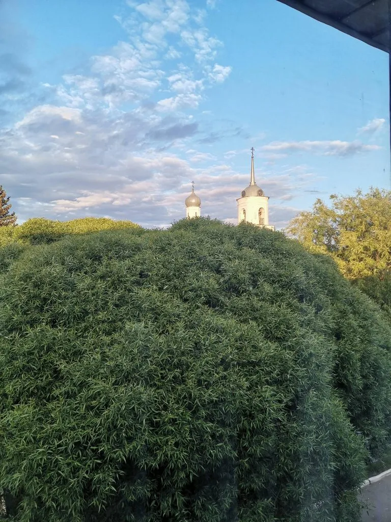 Такое разное небо