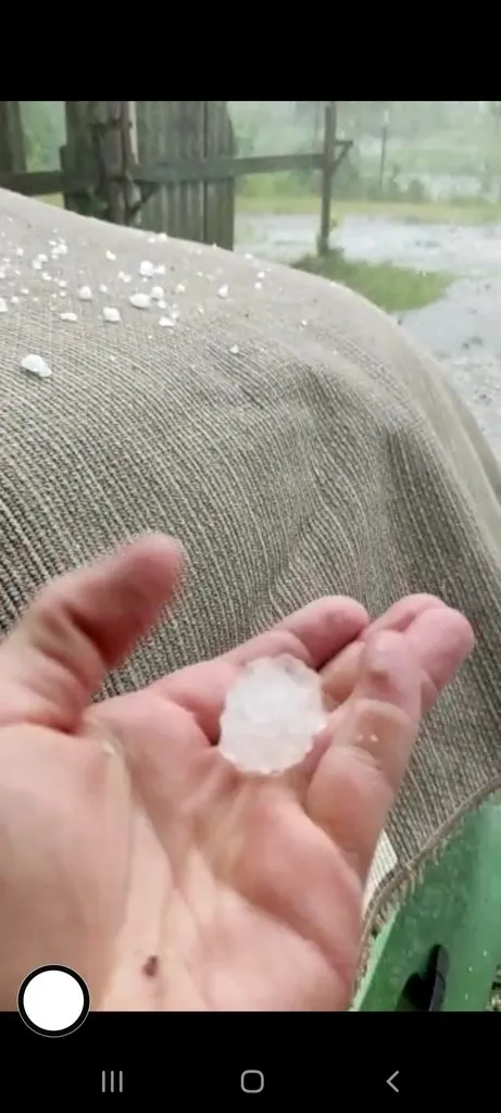 Чайная беседка