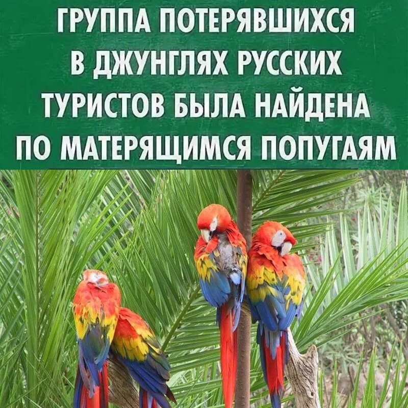 Посмеялся сам - поделись с другом!!!