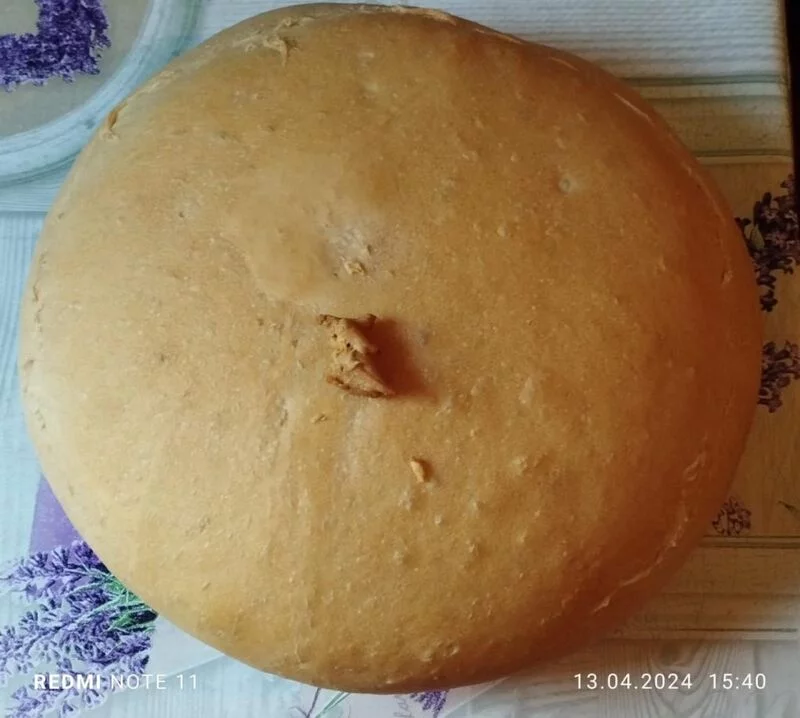 Tapтaлeтки & Ко