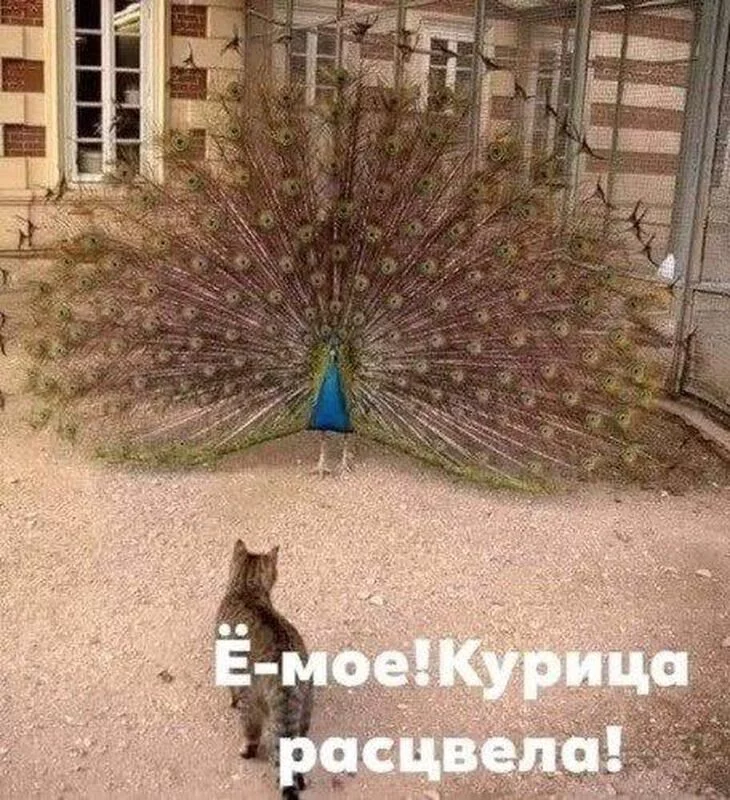 Посмеялся сам - поделись с другом!!!