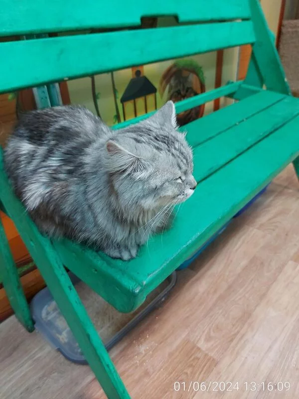 Чайная беседка