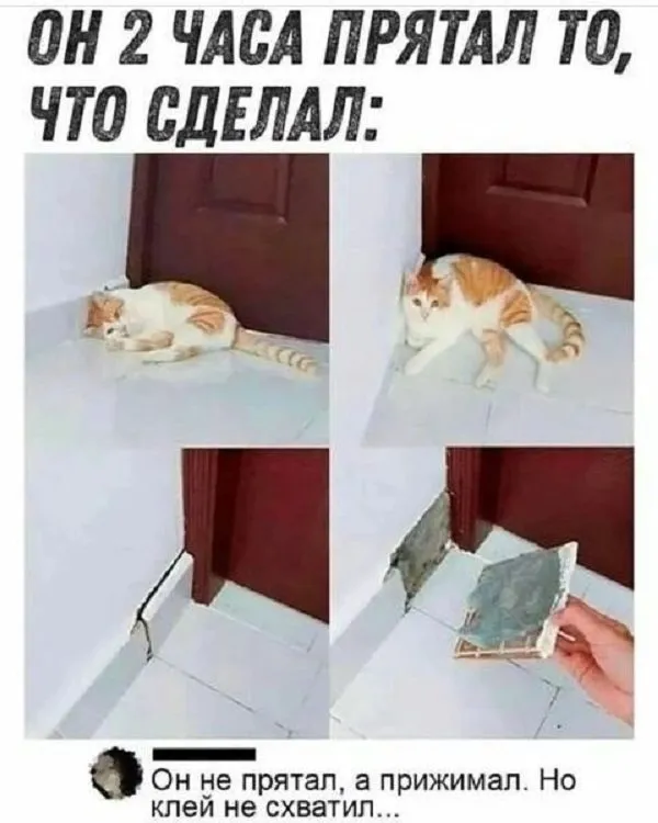 Посмеялся сам - поделись с другом!!!