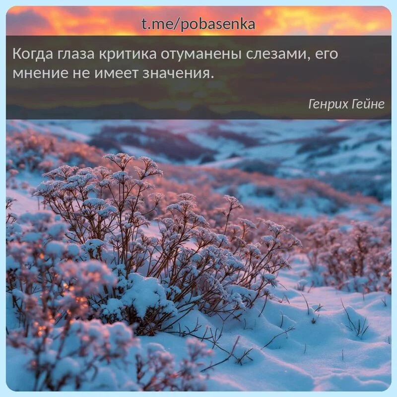 «Когда глаза критика отуманены слезами, его мнение не имеет...» height="550" width="550"