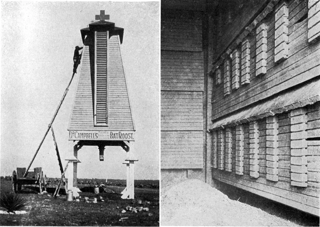 Запечатленная история