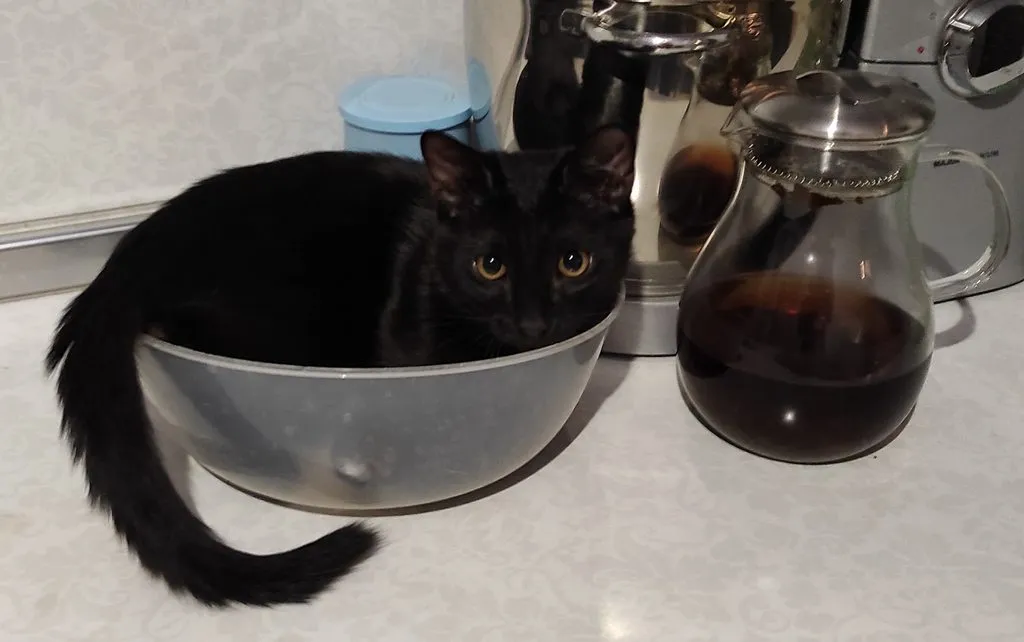 Tapтaлeтки & Ко