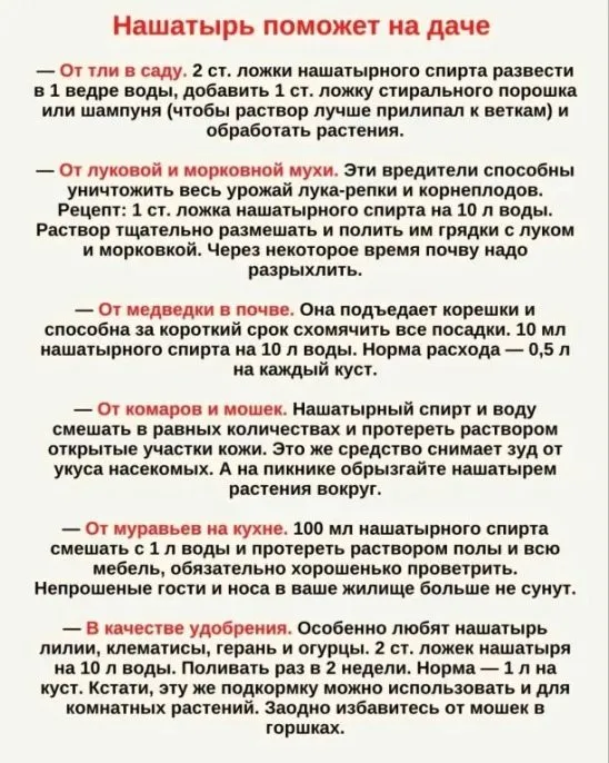 Сажаем, растим, собираем урожай…