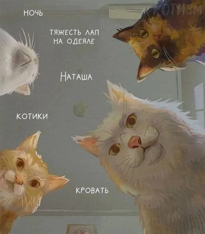 Кафе "У пани Сони"