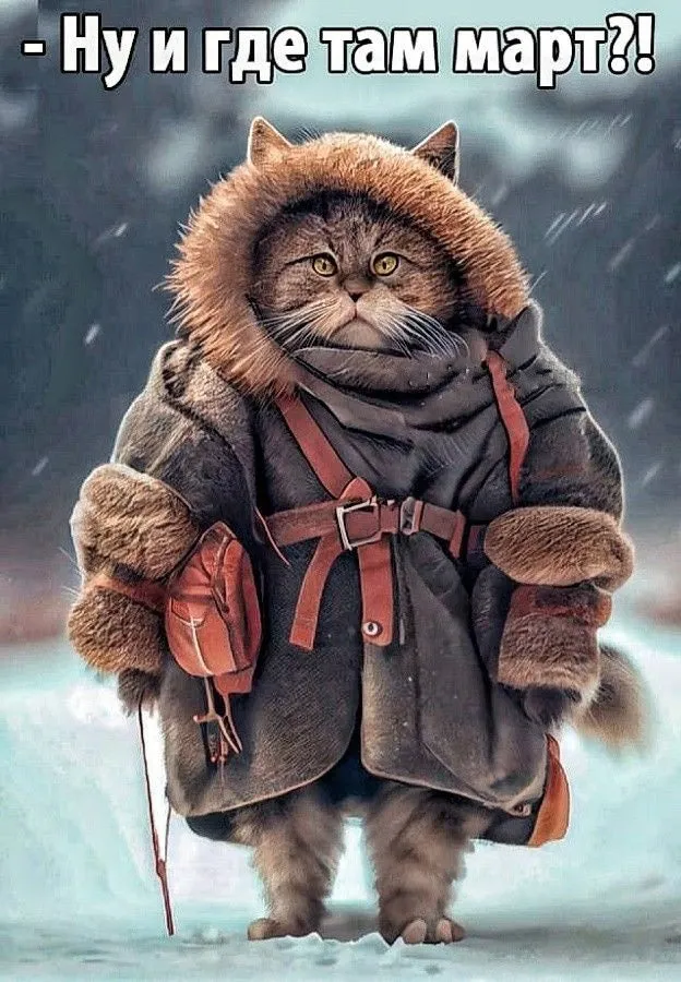 Кафе «У пани Сони»