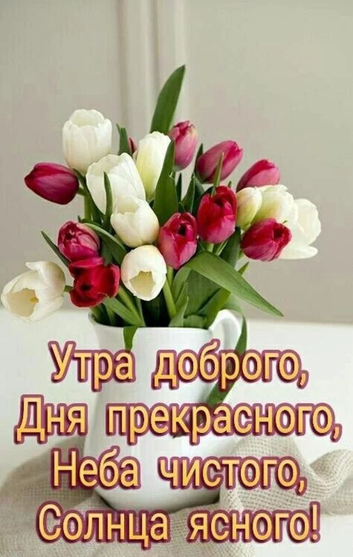 Кафе "У пани Сони"