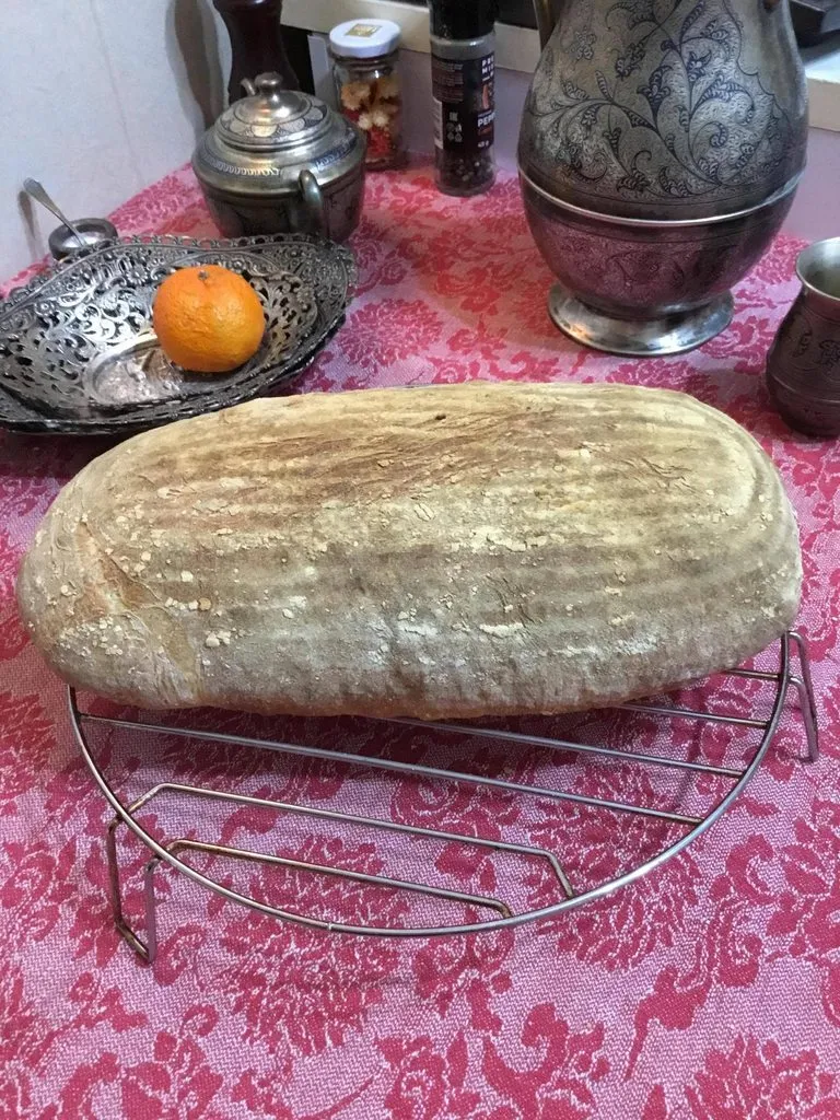 Tapтaлeтки & Ко