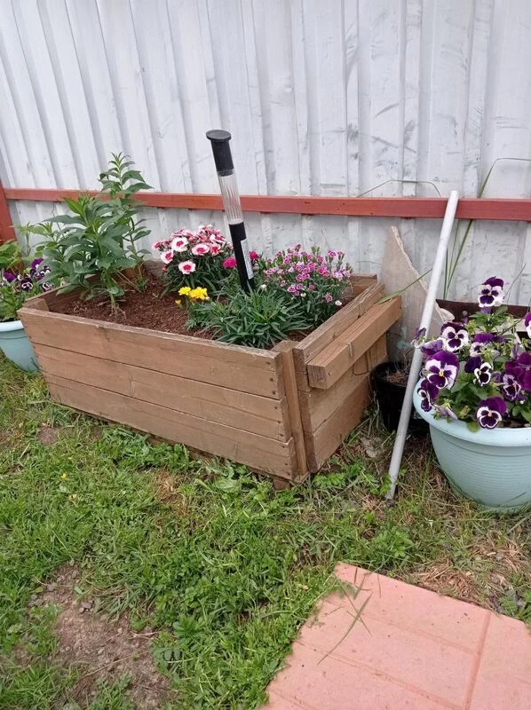 Чайная беседка