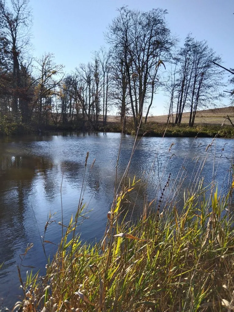 Чайная беседка