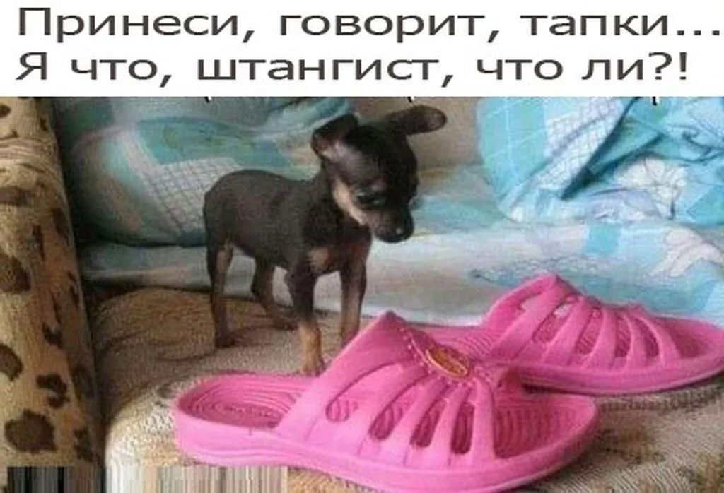 Посмеялся сам - поделись с другом!!!