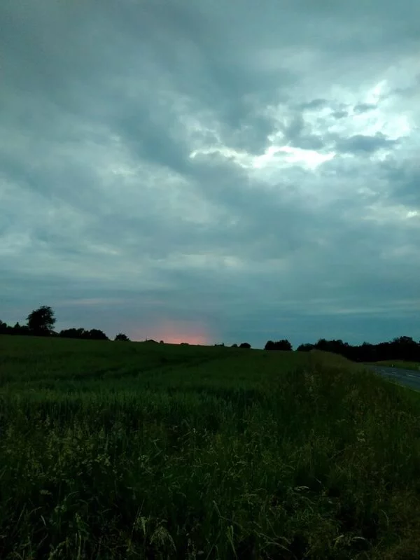 Чайная беседка