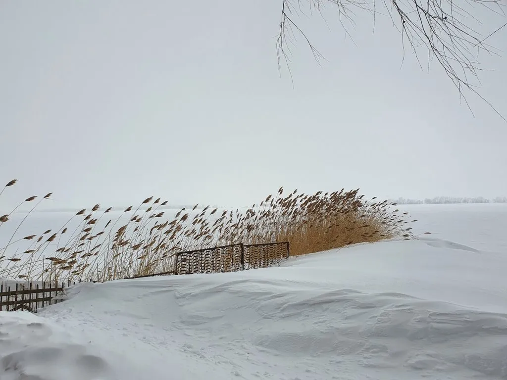 Чайная беседка